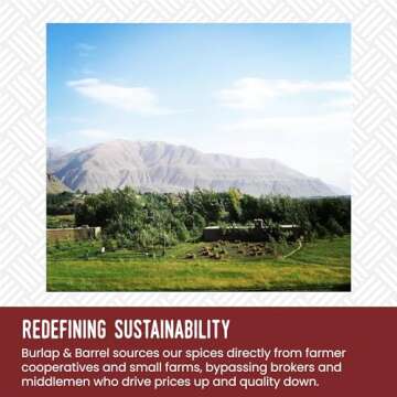 Burlap & Barrel 6-Pack Spice Gift Set for Cooking Enthusiasts