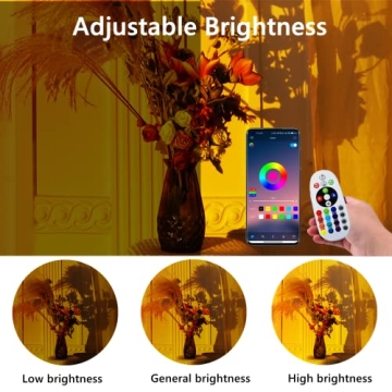 XINJI Sunset Lamp with 16 Colors, APP Controlled Mood Lighting