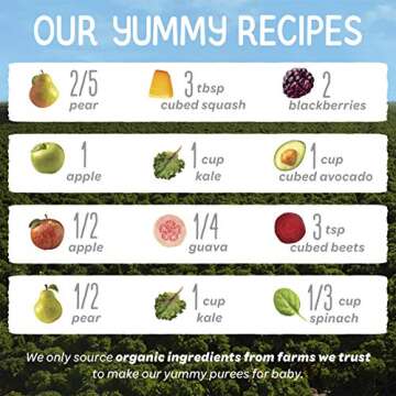Happy Baby Organics Stage 2 Baby Food Pouches, Gluten Free, Vegan & Healthy Snack, Clearly Crafted Fruit & Veggie Puree, Fruit & Veggie Variety Pack, 4 Ounces (Pack of 16), Amazon Exclusive