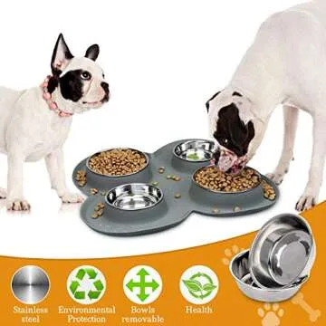 WINSEE 4 Dog Cat Bowls Set Stainless Steel Water and Food Dishes with Non Spill Skid Resistant Silic...