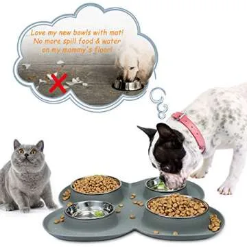 WINSEE 4 Dog Cat Bowls Set with Non Spill Silicone Mat
