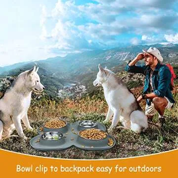 WINSEE 4 Dog Cat Bowls Set with Non Spill Silicone Mat