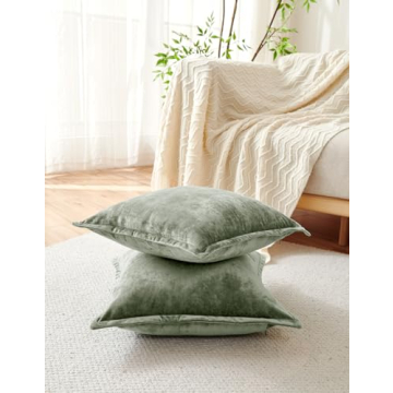 Luxurious Velvet Euro Pillow Covers Set of 2 at Great Price