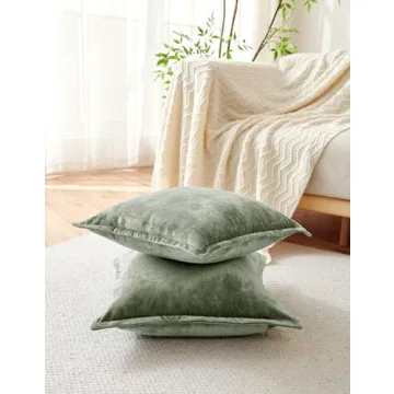 Luxurious Velvet Euro Pillow Covers Set of 2 at Great Price