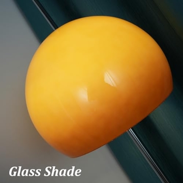 Aeyee Glass Floor Lamp with Orange Dome Shade