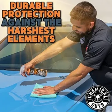 High Gloss Spray Sealant for Car Finishes by Chemical Guys