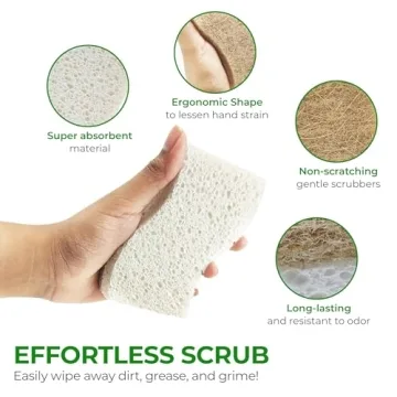 AIRNEX Eco-Friendly Biodegradable Kitchen Sponge Pack of 12