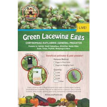 Green Lacewing 1,000 Eggs for Natural Pest Control
