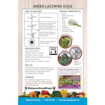 Green Lacewing 1,000 Eggs for Natural Pest Control