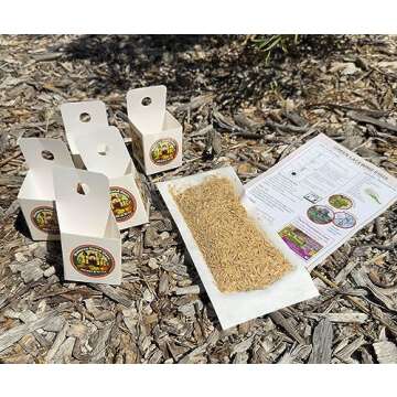 Green Lacewing 1,000 Eggs for Natural Pest Control