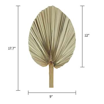 Natural Large Dried Palm Leaves-3 Pcs 17.7 Inch Dried Palm Spears Plant for Boho Style Art Wall Hang...