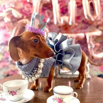 FLAdorepet Winter Dog Christmas Sweater Dress for Small Pets