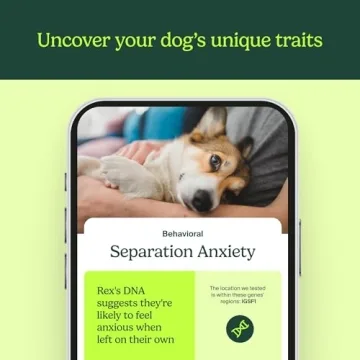 Dog DNA Test for Breed Insights & Canine Care