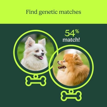 Dog DNA Test for Breed Insights & Canine Care