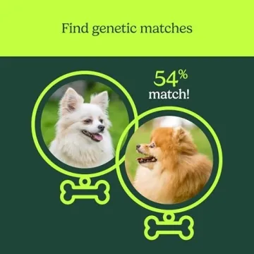 Dog DNA Test for Breed Insights & Canine Care