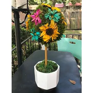 ACTIVA 2610 Silica Gel for Flower Drying, 5 Pound