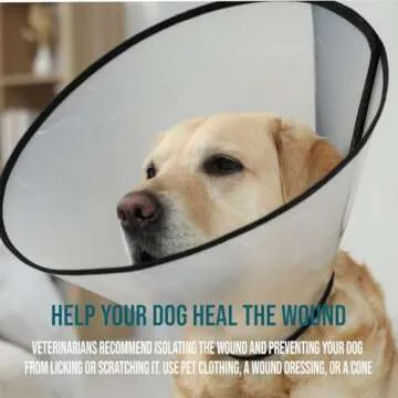 Effective Hot Spot Treatment for Dogs – Blue Butter 4oz