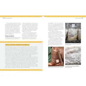 Your Guide to Growing Shiitake, Oyster & More Mushrooms at Home