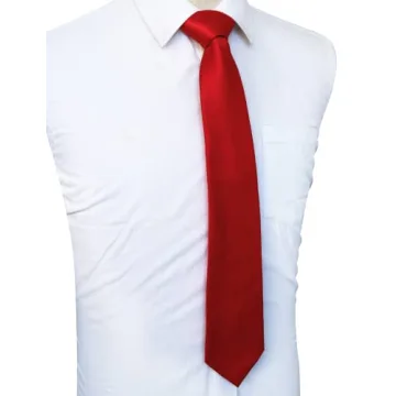 JEMYGINS Red Tie Silk Necktie for Men Weddings and Business