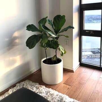 Fox & Fern Large 12 Inch Planter — Premium Lightweight Fiberstone Matte White Plant Pot w Drainage Plug; Large Indoor & Outdoor Floor Planter; 12 Inch Pots for Plants; Weather Resistant & UV Resistant