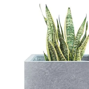 Kante 15.7" Tall Rectangular Concrete Planters