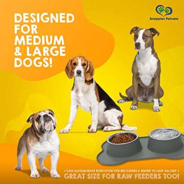 Large Dog Bowls & Mat Set - No Spill, 54oz Capacity