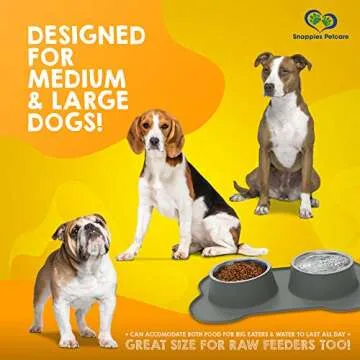 Large Dog Bowls & Mat Set - No Spill, 54oz Capacity