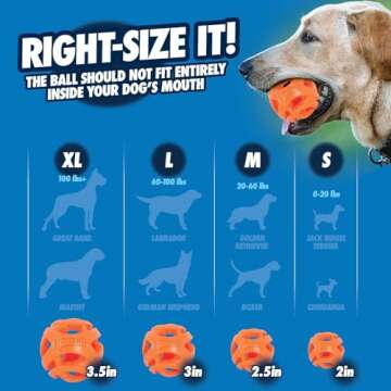 Chuckit! Air Fetch Ball Dog Toy, Medium (2.5 Inch Diameter), for dogs 20-60 lbs, Pack of 2