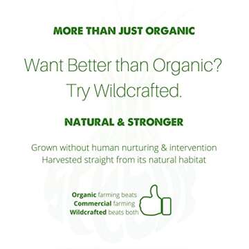 SpeedyVite Kidney Bladder LifeBoost Tea Herbal Supplement - USDA Organic Cleanses & supports urinary tract health - Marshmallow root Dandelion Goldenrod Juniper Hydrangea +more Natural Detox