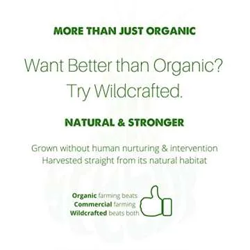 SpeedyVite Kidney Bladder LifeBoost Tea Herbal Supplement - USDA Organic Cleanses & supports urinary tract health - Marshmallow root Dandelion Goldenrod Juniper Hydrangea +more Natural Detox