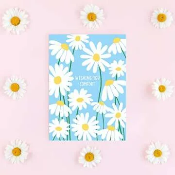 Sweetzer & Orange Thinking of You Cards Set of 24 Boxed