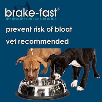 QT Dog - Brake-Fast Slow Feed Stainless Steel Bowl, Non-Slip - Ideal for Medium & Large Dogs, Suitab...