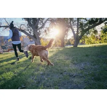 Durable Jolly Pets Tug-n-Toss Dog Toy Ball with Handle