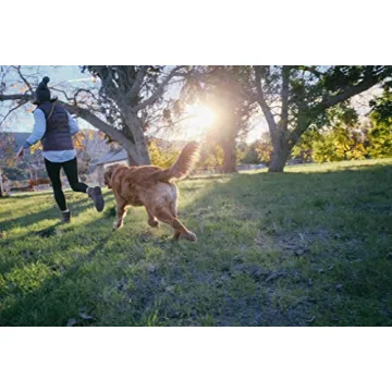 Durable Jolly Pets Tug-n-Toss Dog Toy Ball with Handle