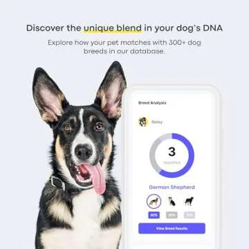 Basepaws Dog DNA Testing Kit - 300+ Breeds, 280+ Health Risks, and 30+ Traits - Comprehensive Mixed ...