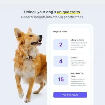Basepaws Dog DNA Testing Kit - 300+ Breeds, 280+ Health Risks, and 30+ Traits - Comprehensive Mixed Breed Identification, Pet DNA Test kit, Canine Genetic Ancestry and Heritage