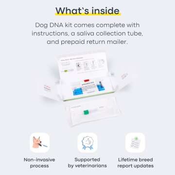 Basepaws Dog DNA Testing Kit - 300+ Breeds, 280+ Health Risks, and 30+ Traits - Comprehensive Mixed Breed Identification, Pet DNA Test kit, Canine Genetic Ancestry and Heritage
