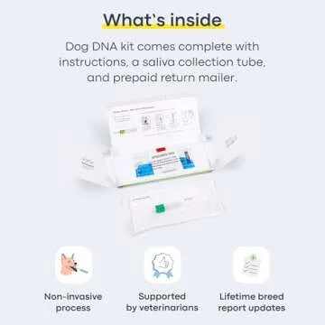 Basepaws Dog DNA Testing Kit - 300+ Breeds, 280+ Health Risks, and 30+ Traits - Comprehensive Mixed Breed Identification, Pet DNA Test kit, Canine Genetic Ancestry and Heritage