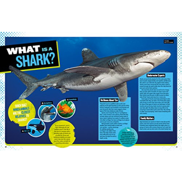 Ultimate Shark Book for Kids | National Geographic Kids