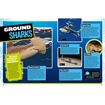 Ultimate Shark Book for Kids | National Geographic Kids