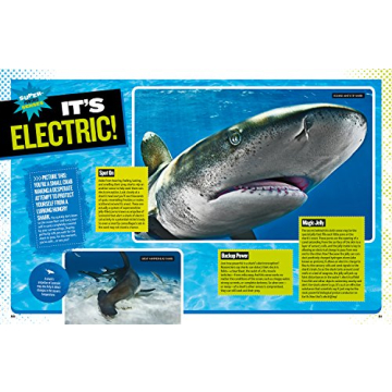 Ultimate Shark Book for Kids | National Geographic Kids
