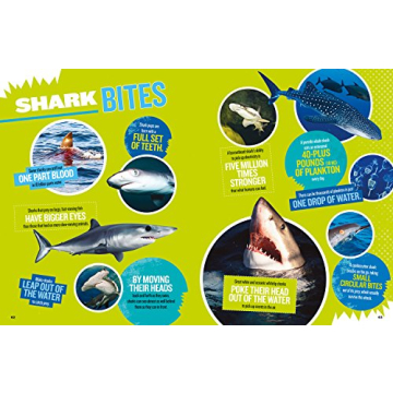Ultimate Shark Book for Kids | National Geographic Kids