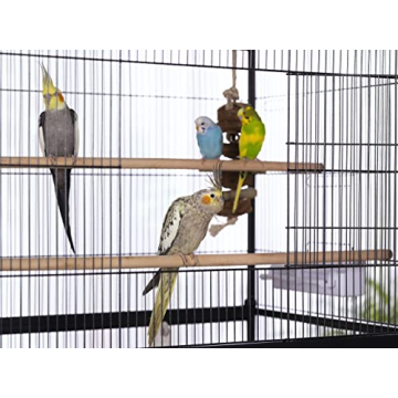 Spacious Wrought Iron Flight Cage for Small Birds