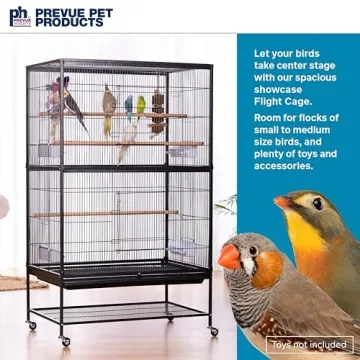 Spacious Wrought Iron Flight Cage for Small Birds