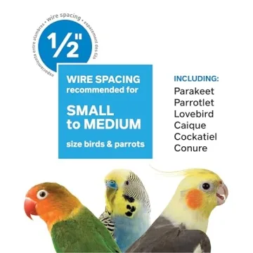 Spacious Wrought Iron Flight Cage for Small Birds