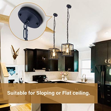 FLOURIM Black Gold Pendant Lighting Fixture for Home