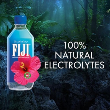FIJI Natural Artesian Bottled Water 500mL / 16.9 Fl Ounce (Pack of 24) - 100% Natural Electrolytes