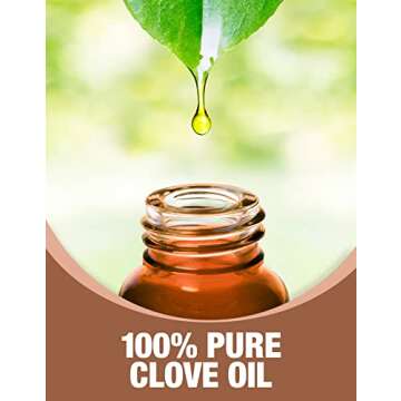 Ethereal Nature 100% Pure Oil, Clove, 1 Fl Oz