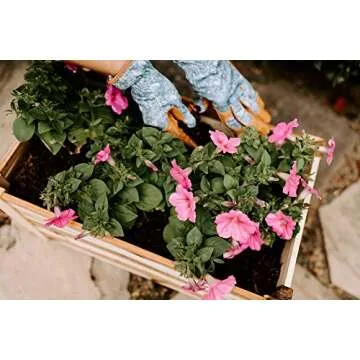 Thirteen Chefs Villa Acacia Planter Box for Gardening