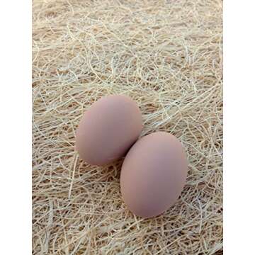 Br BRILLANTE Ceramic Chicken Nesting Eggs (Brown) - Fake Training Eggs for Laying Chickens, Hen Nest...